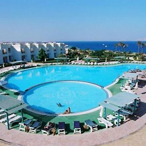 Royal Paradise Resort